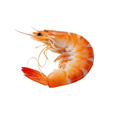 火锅食材白底头像