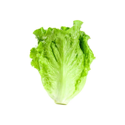 蔬菜水果白底头像