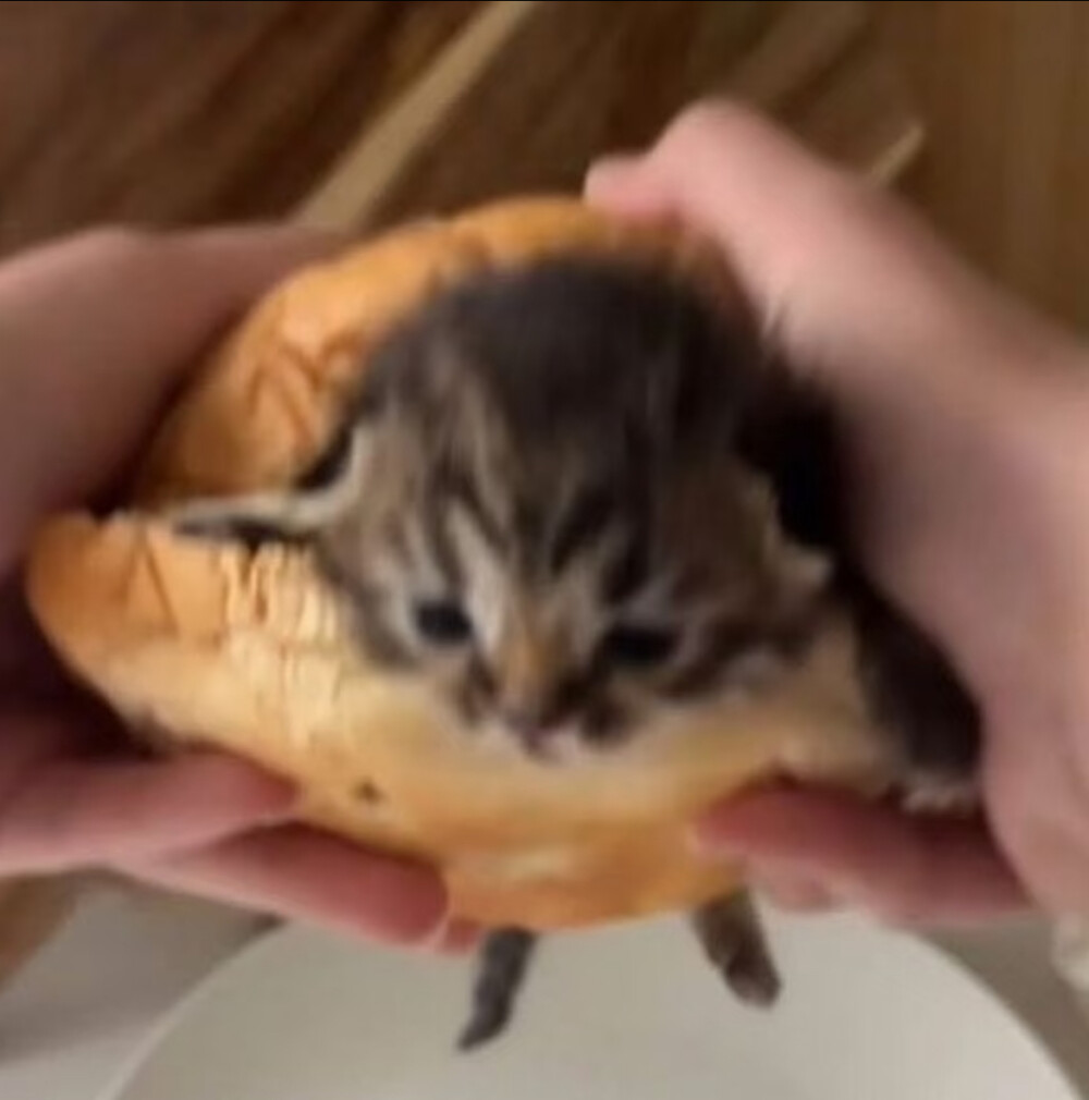 missu…………っω<。