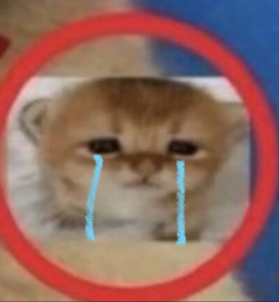 missu…………っω<。