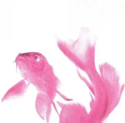 简单