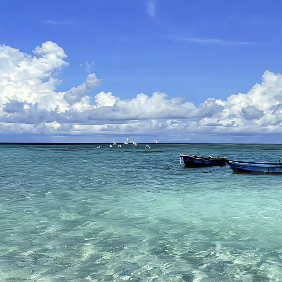 You want something. Go get it！
有了目标就要全力以赴。