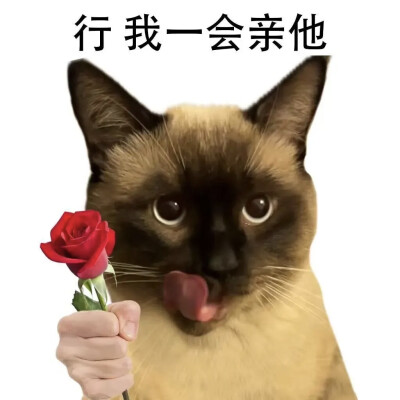表情包