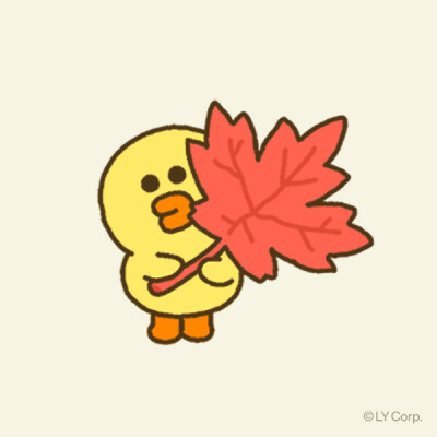 莎莉鸡