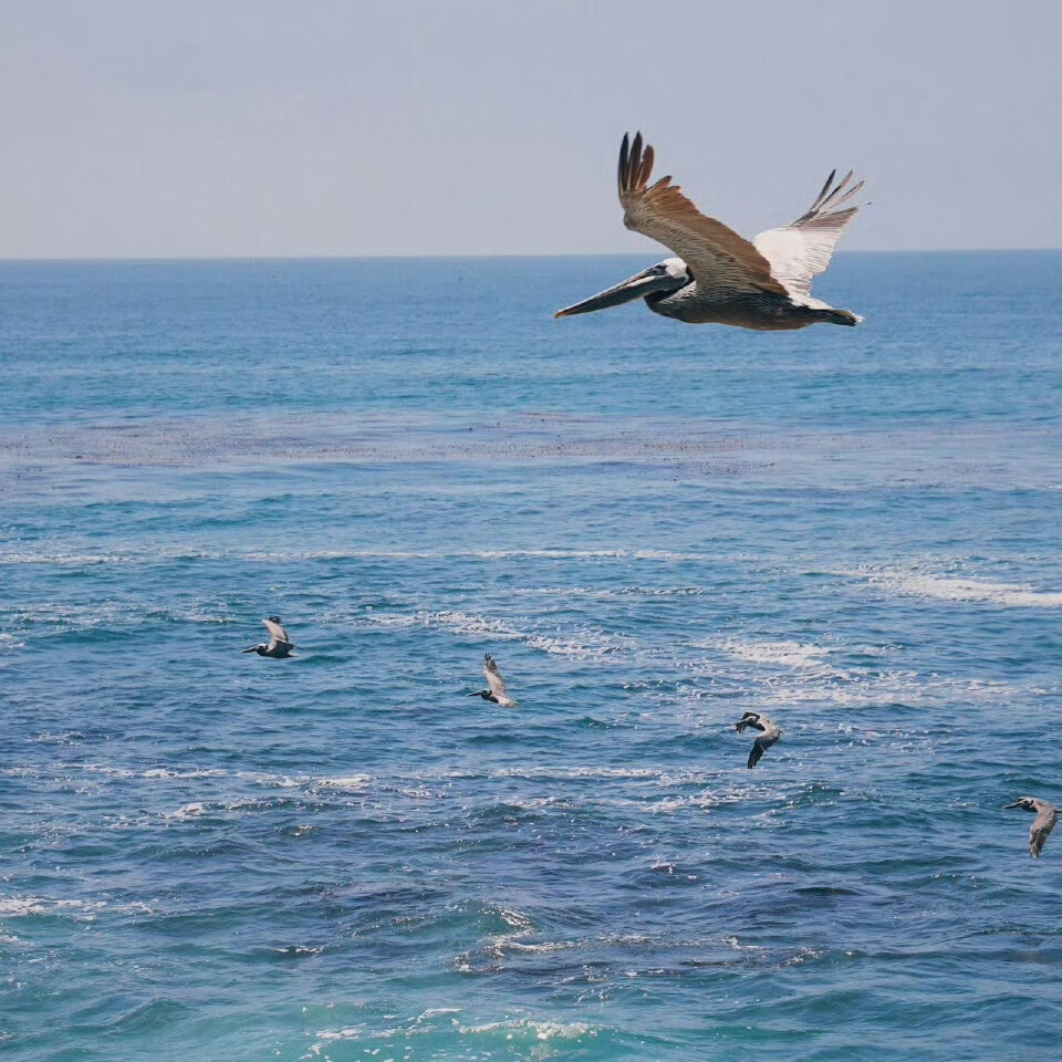 You want something. Go get it！
有了目标就要全力以赴。