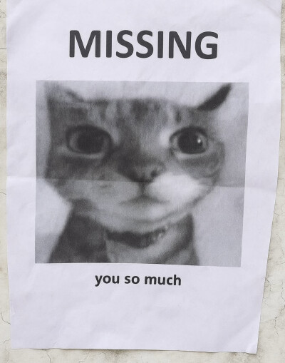 missu…………っω<。