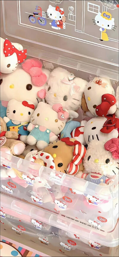 手机壁纸