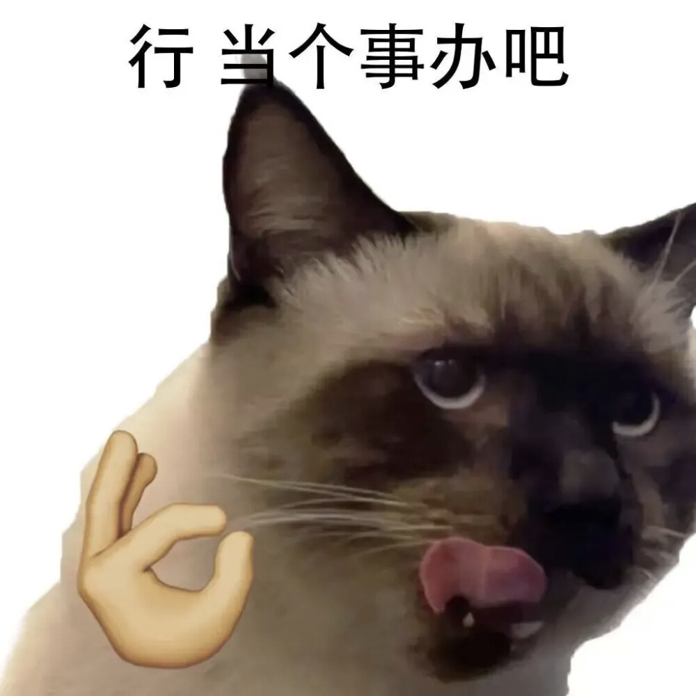 表情包