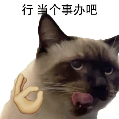 表情包