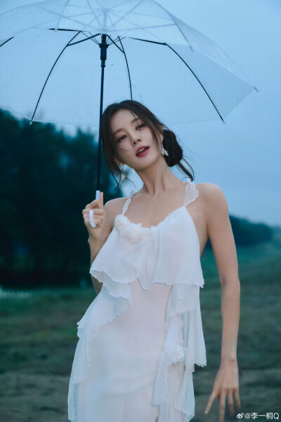 李一桐