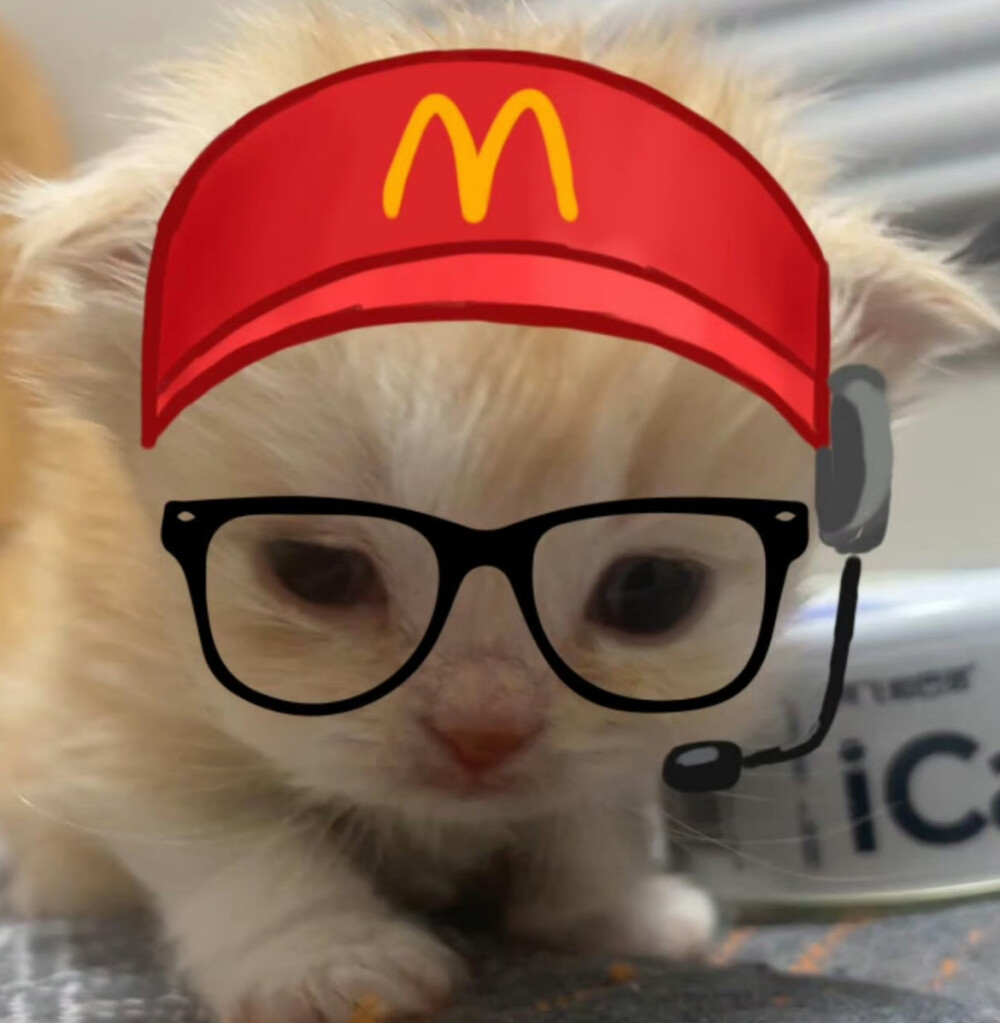 你想加入猫猫教吗