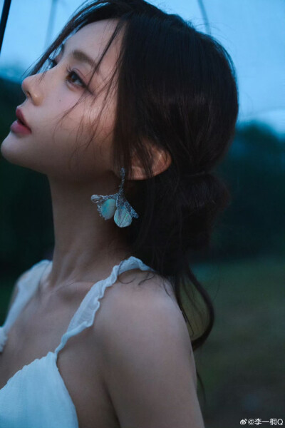 李一桐
