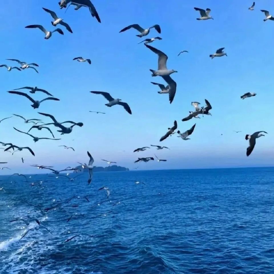 You want something. Go get it！
有了目标就要全力以赴。