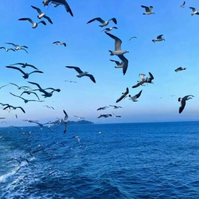 You want something. Go get it！
有了目标就要全力以赴。