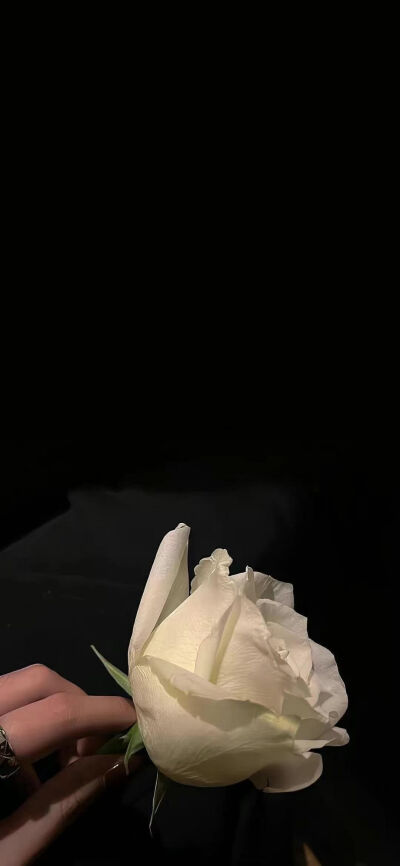 壁纸
