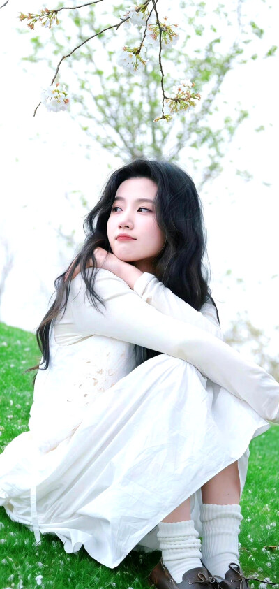 手机壁纸