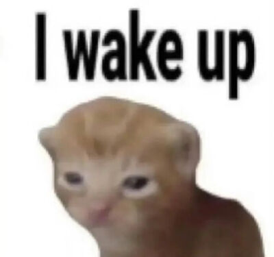 猫猫表情包