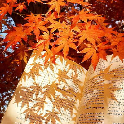 图源ks：偷喝汽水