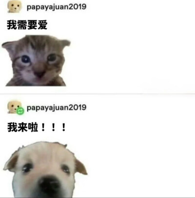 你想加入猫猫教吗