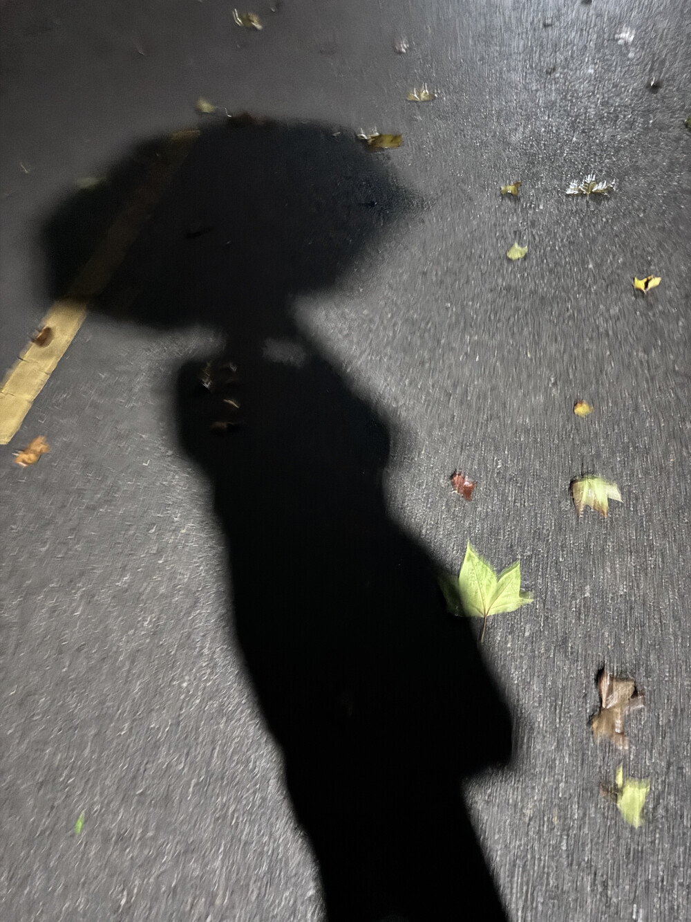 自诩自己是一个外热内冷的人