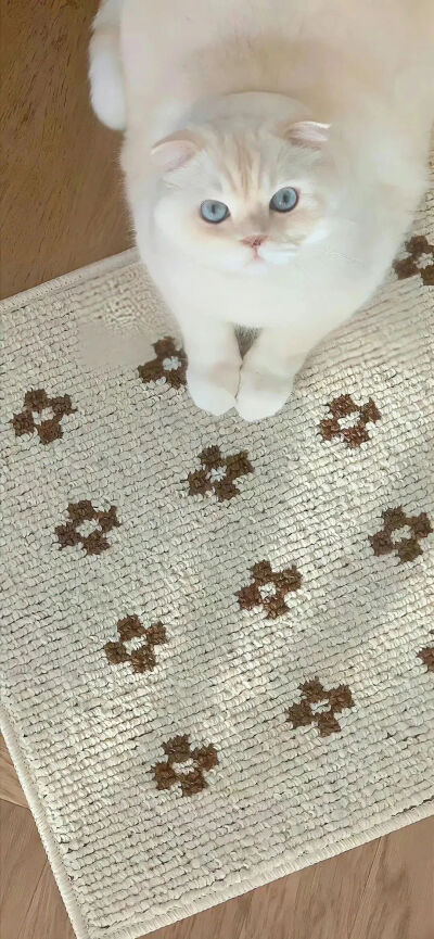 奶油色壁纸
