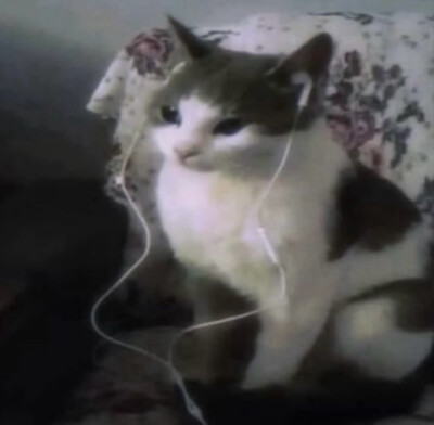 missu…………っω<。