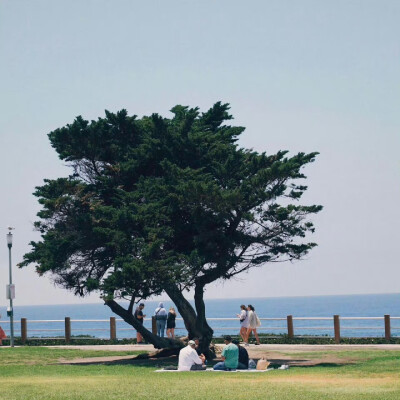 You want something. Go get it！
有了目标就要全力以赴。