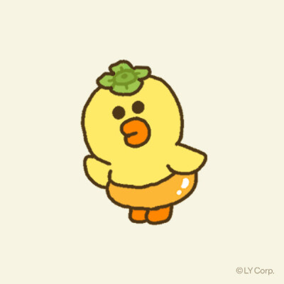 莎莉鸡