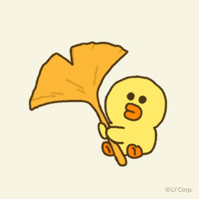 莎莉鸡