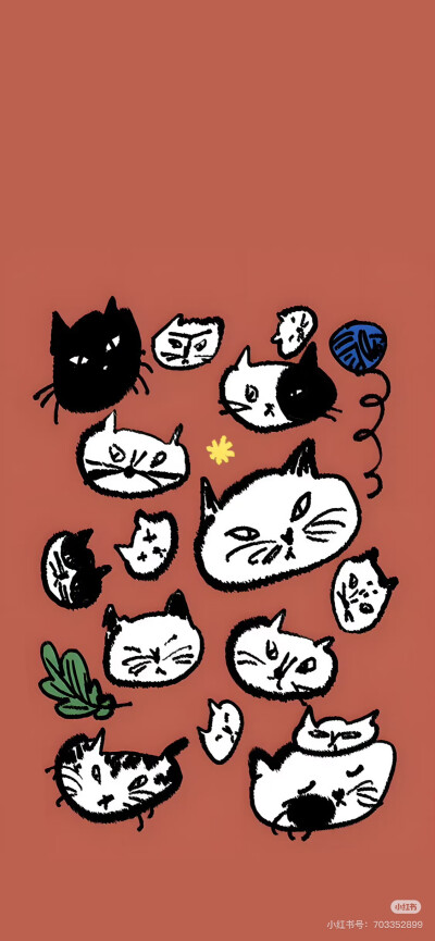 壁纸