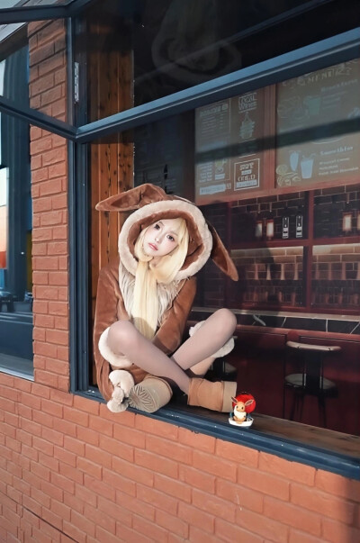 机智张