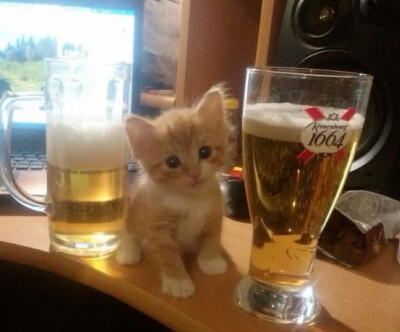 missu…………っω<。