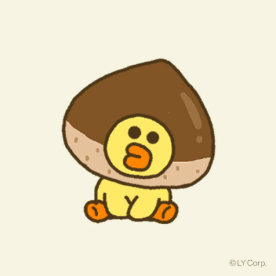 莎莉鸡