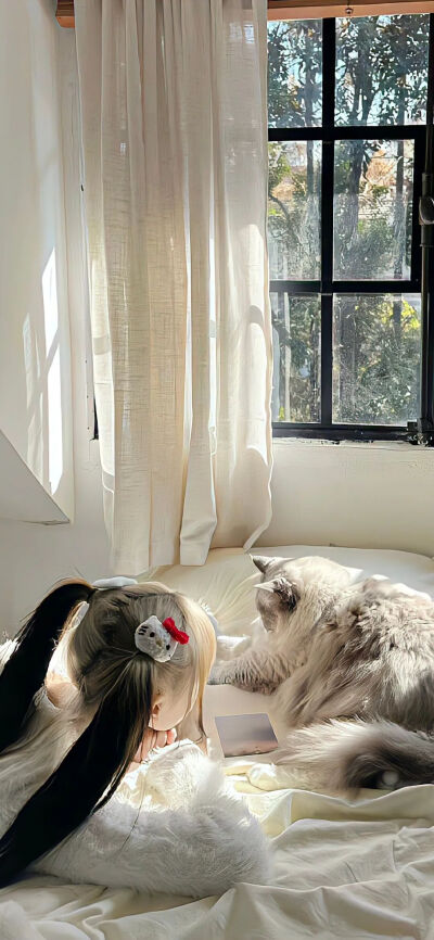 奶油色壁纸