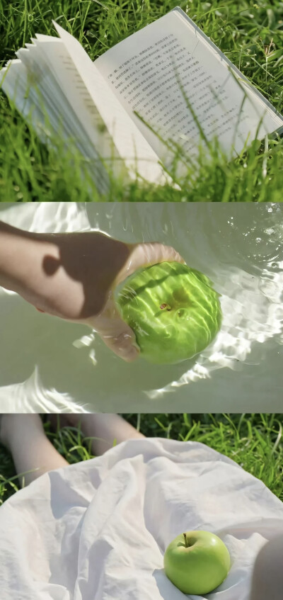 人间满目皆清欢，唯有时光不负秋。 