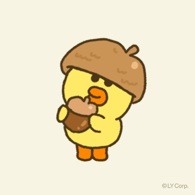莎莉鸡
