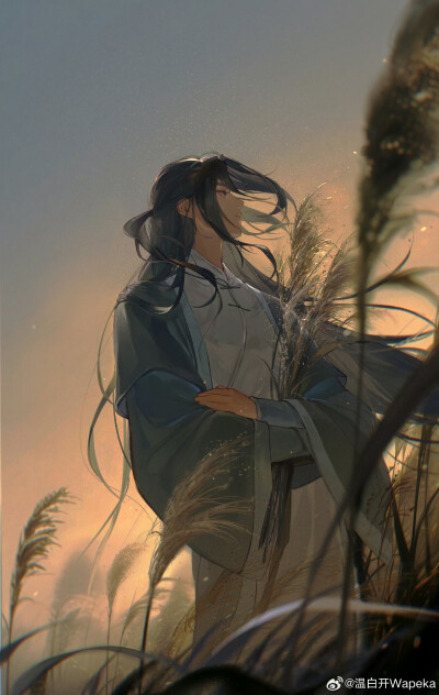 罗小黑战记