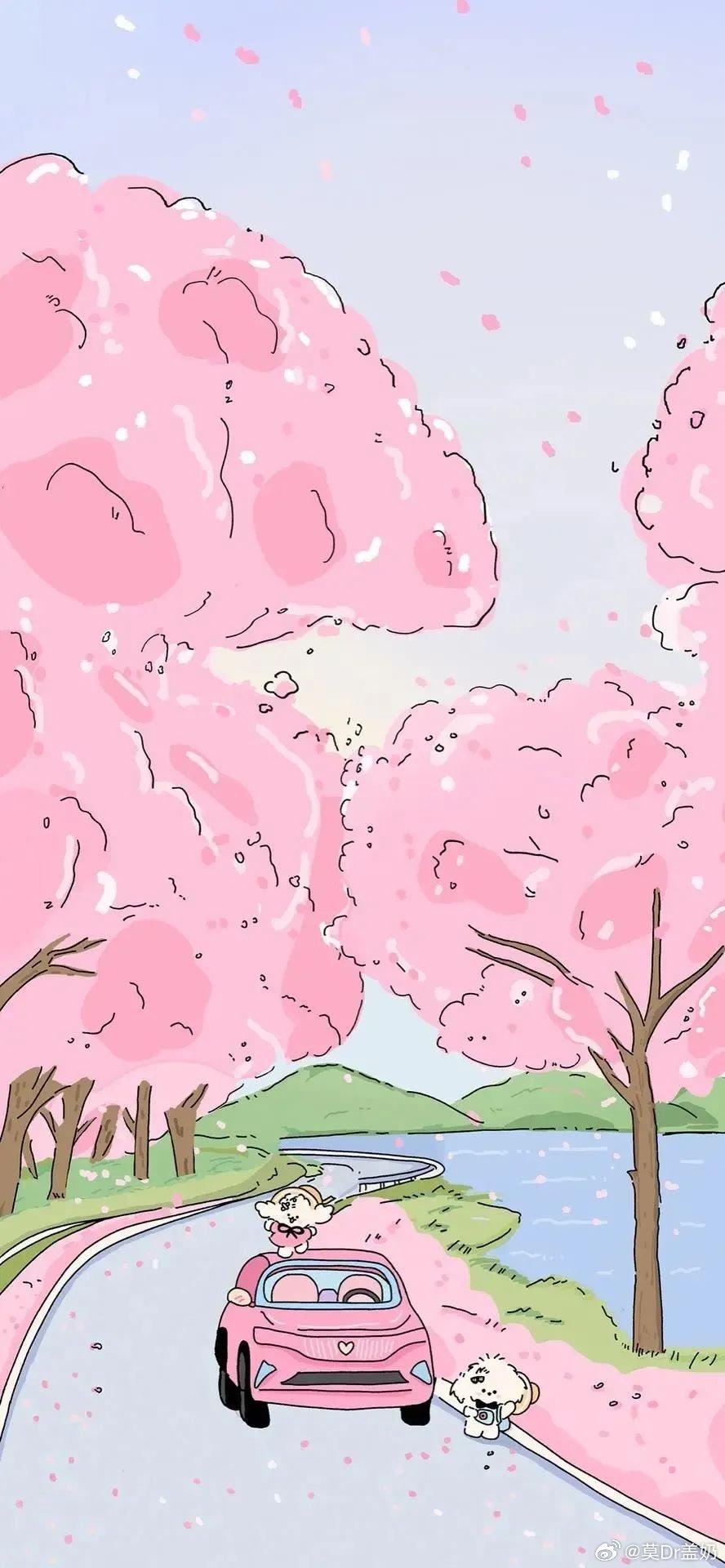 壁纸