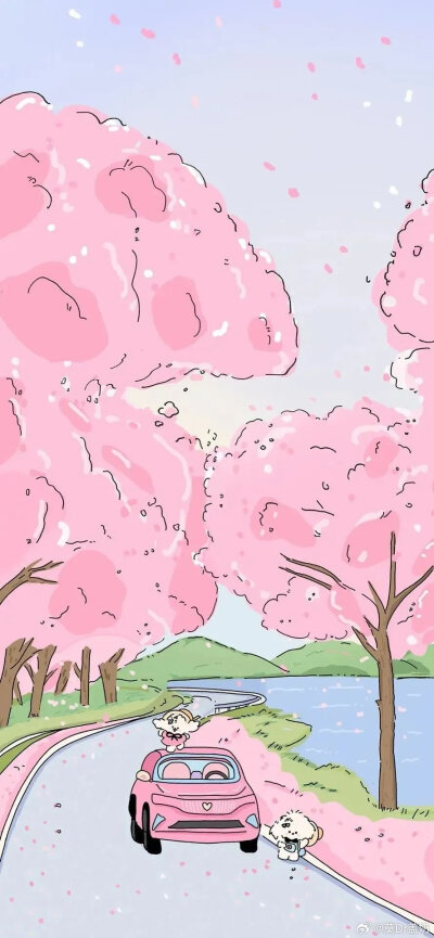 壁纸