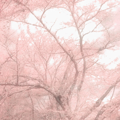 请修，十分美丽的一组已打底，记得注明