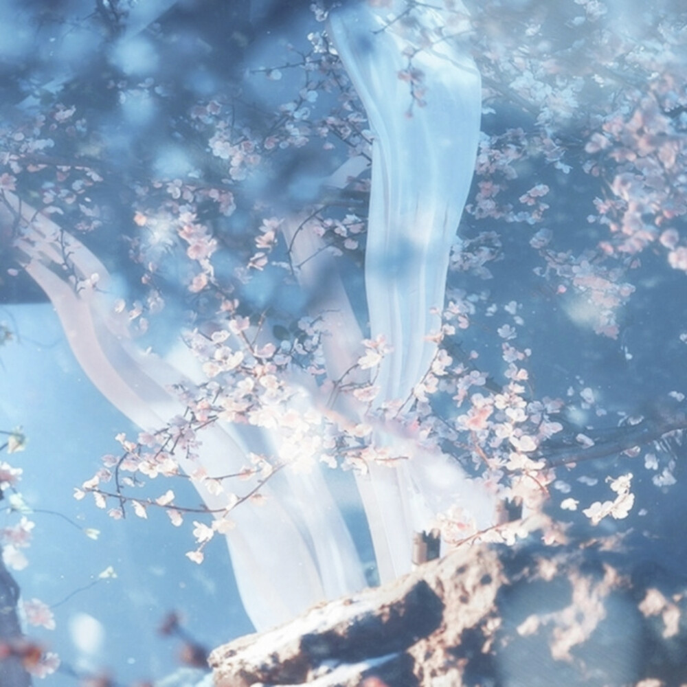 春蝶轻点我眉心，灵魂永恒。