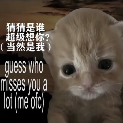 头发，命运，和你
