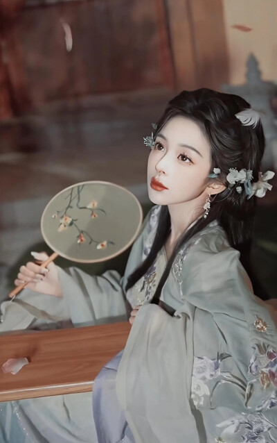 机智张