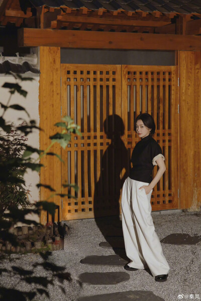 秦岚