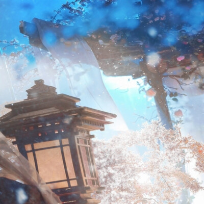 春蝶轻点我眉心，灵魂永恒。
