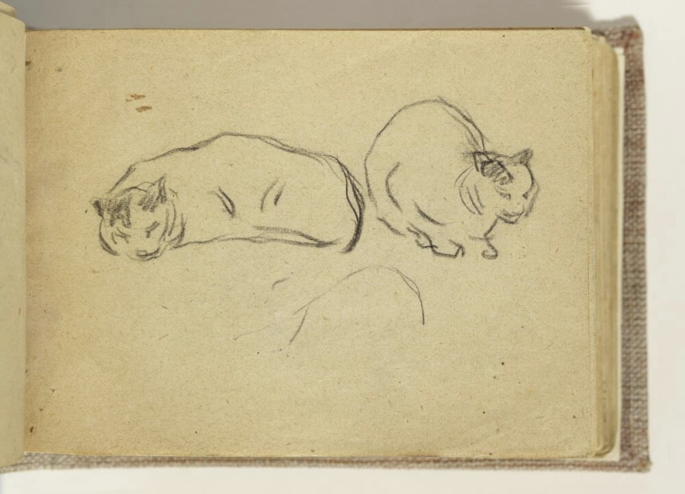 巴勃罗·鲁伊斯·毕加索 (1881年10月25日-1973年4月8日)是西班牙画家、雕塑家、版画画家、陶艺家和剧院设计师，他成年后的大部分时间都在法国度过。他是20 世纪最具影响力的艺术家之一，以共同创立立体派运动、发明构筑雕塑、共同发明拼贴画以及帮助发展和探索各种风格而闻名。毕加索在早年表现出非凡的艺术天赋，童年和青少年时期一直以自然主义的方式作画。在20世纪的第一个十年，随着他尝试不同的理论、技巧和想法，他的风格发生了变化。1906年后，老艺术家亨利·马蒂斯的野兽派作品激发了毕加索探索更激进的风格，两位艺术家之间开始了卓有成效的竞争，随后评论家经常将他们并列为现代艺术领袖。