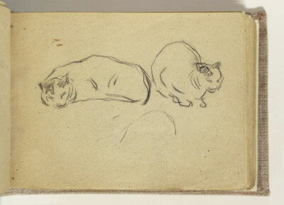 巴勃罗·鲁伊斯·毕加索 (1881年10月25日-1973年4月8日)是西班牙画家、雕塑家、版画画家、陶艺家和剧院设计师，他成年后的大部分时间都在法国度过。他是20 世纪最具影响力的艺术家之一，以共同创立立体派运动、发明构…