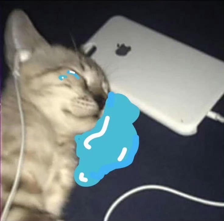 =⩌⩊⩌=