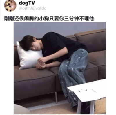 天降狗