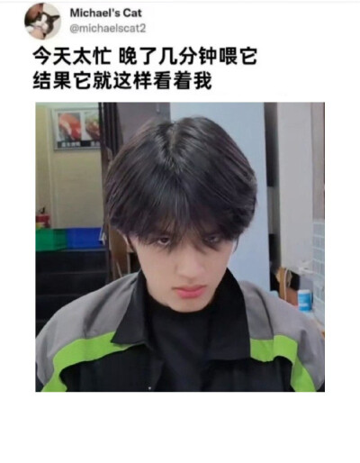 天降狗